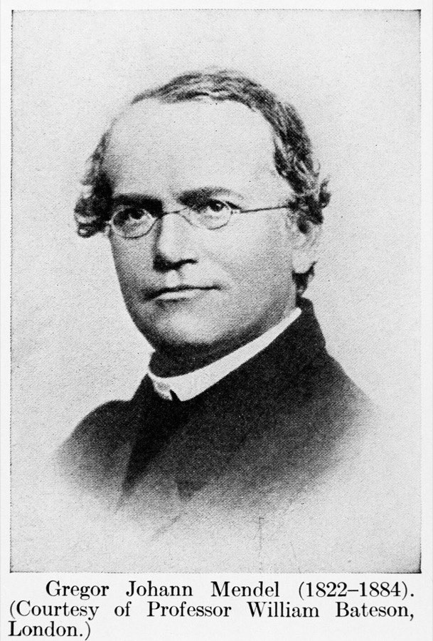 Gregor Mendel (1822 až 1884)